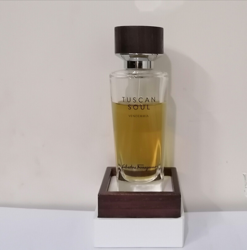 عطرvendemmiaاز برند سالواتوره فراگامو