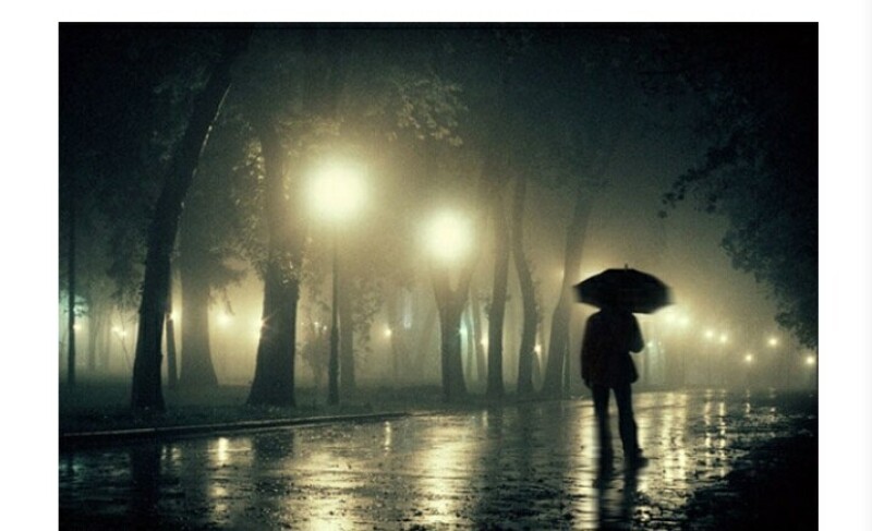 سامر عود احمد المغربی