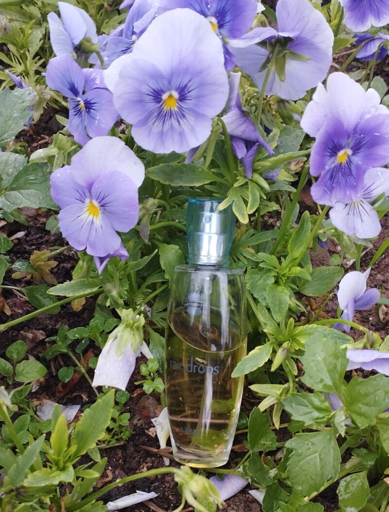 باران عشق در سرای عشق