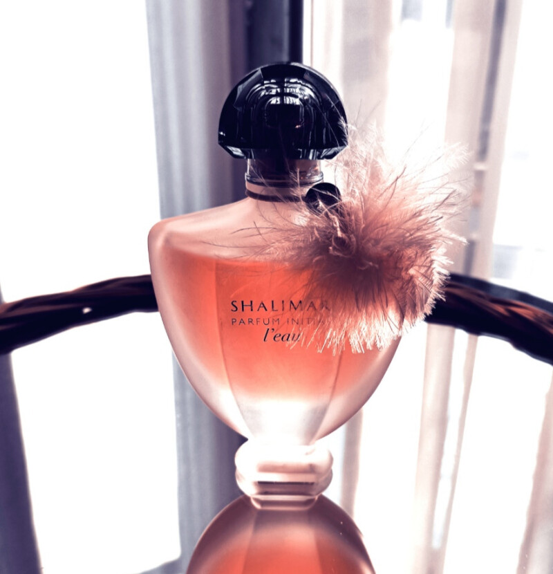 جامی از لطافت و آرامش 