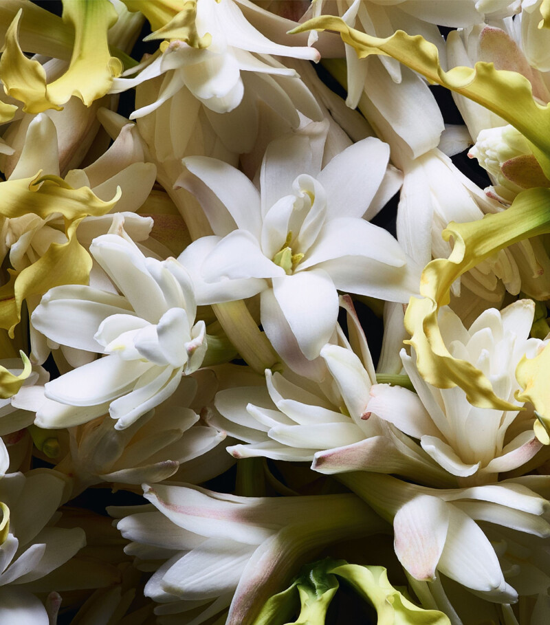 مهربان‌تر از مهر.....