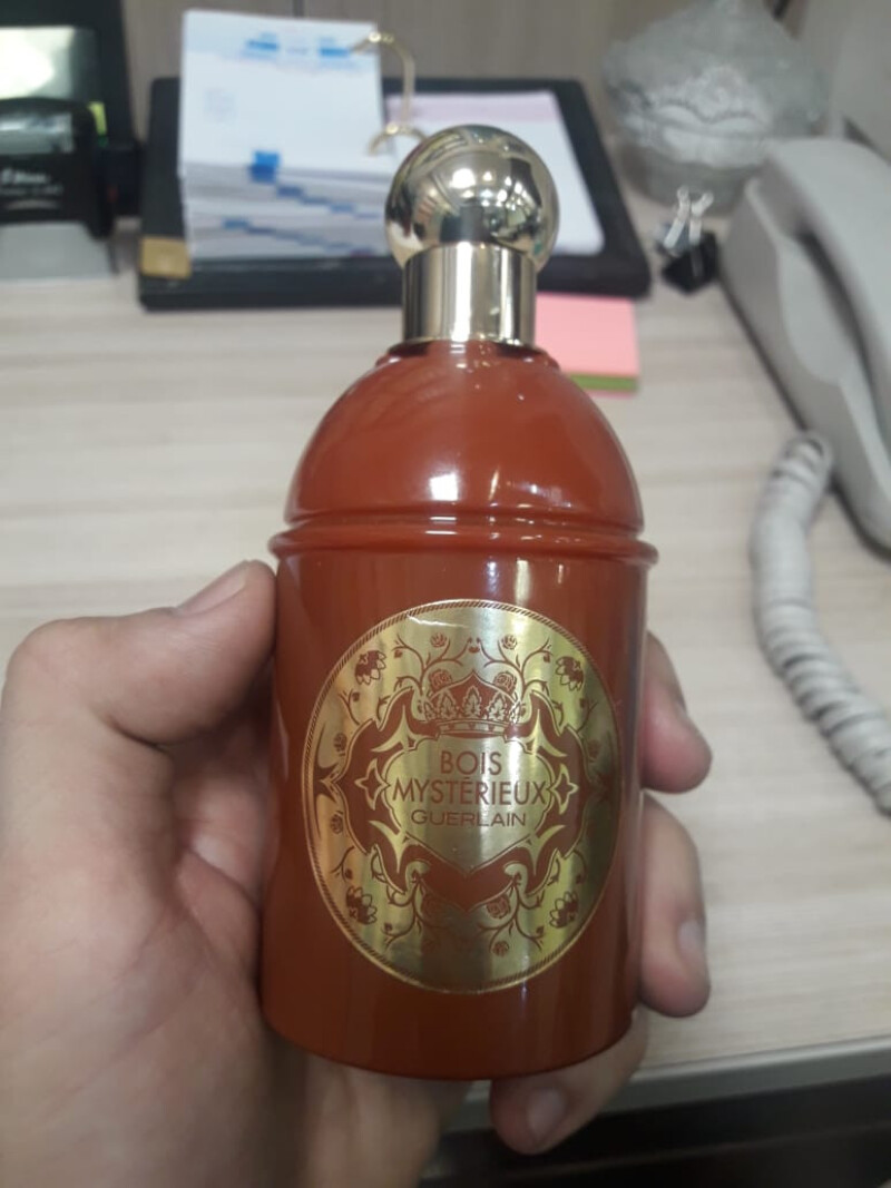 گرلن همیشه پیشتاز و حرفه ایی