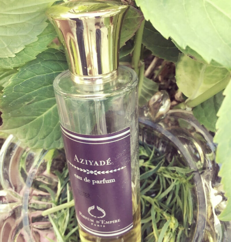 تنباکوی تاباک تابو