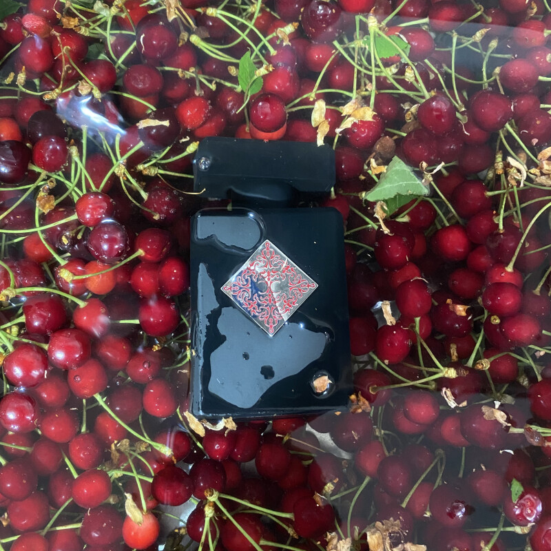 طعمي تابستاني در زمستان