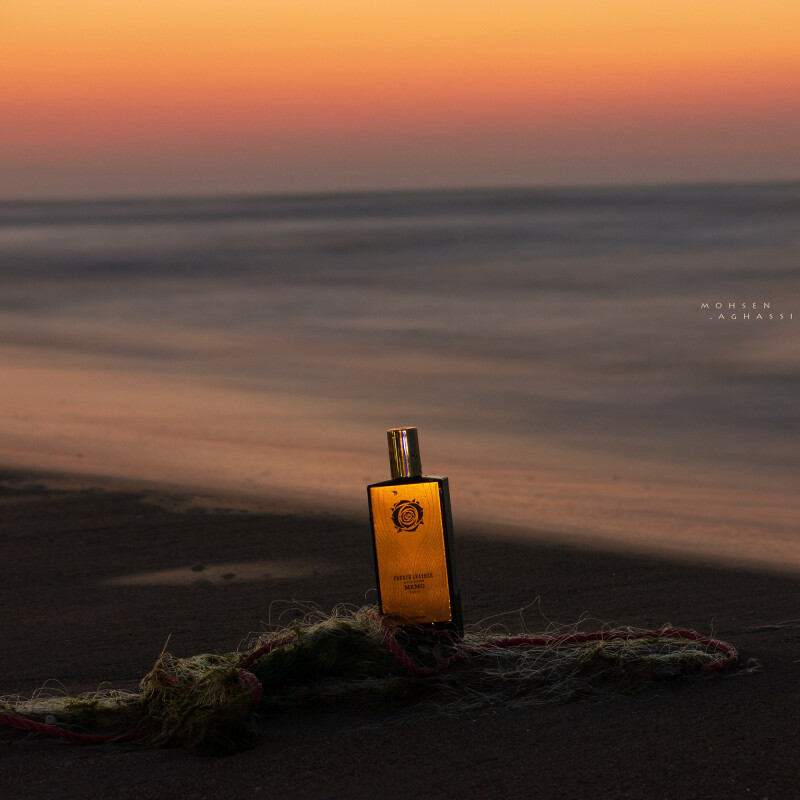 روی تور، لبِ ساحل!