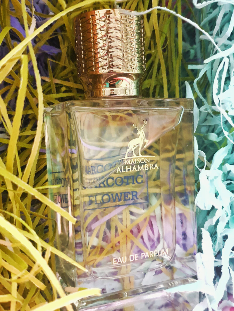 مشابه بوی ای ایکس نیهیلو فلور نارکوتیک