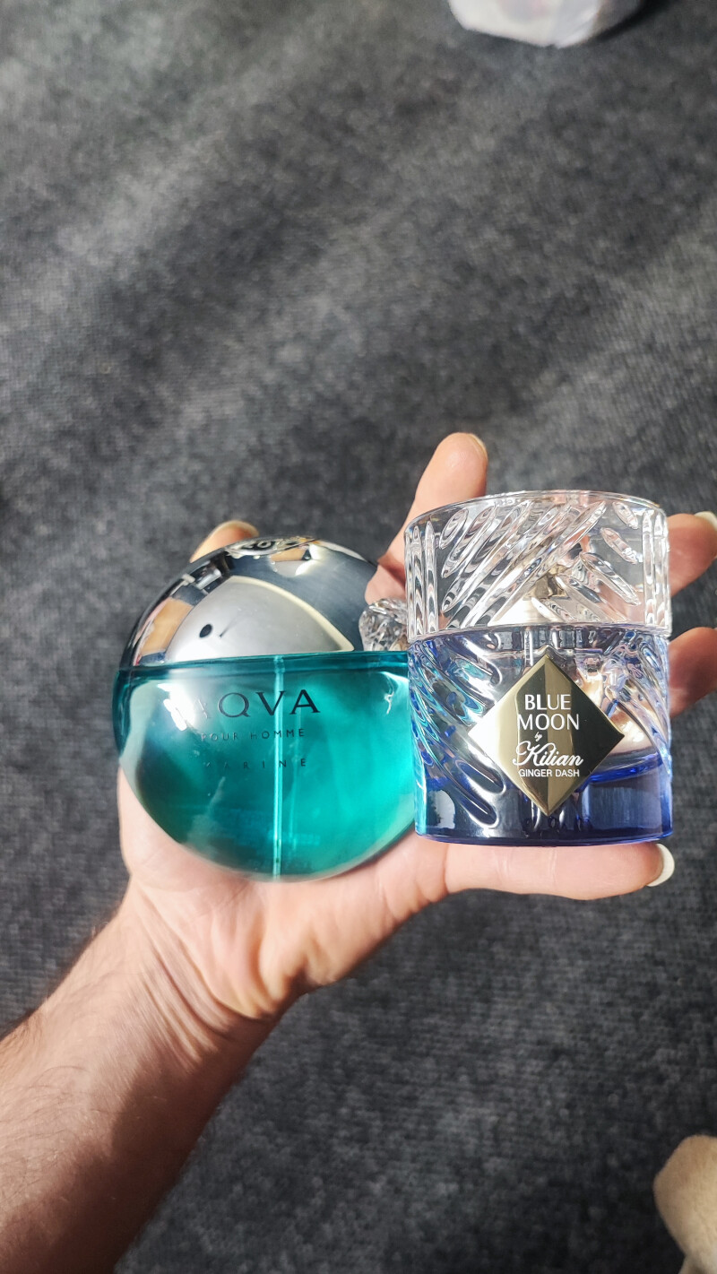 بلومون جینجر دش