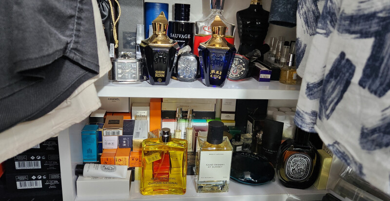 شان کویین و مارکویی از برند سرژوف