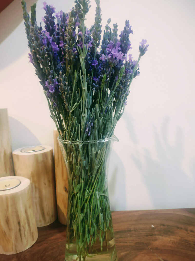 لوندر#اسطوخودوس# پور ان اوم