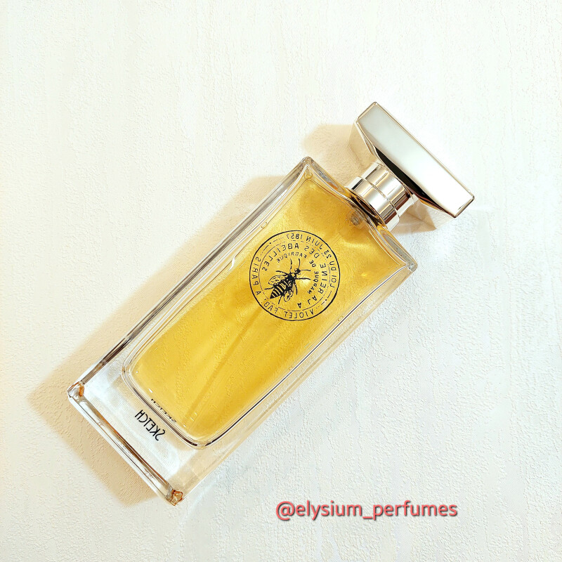 Sketch Maison Violet  LES PARFUMES DE VIOLET