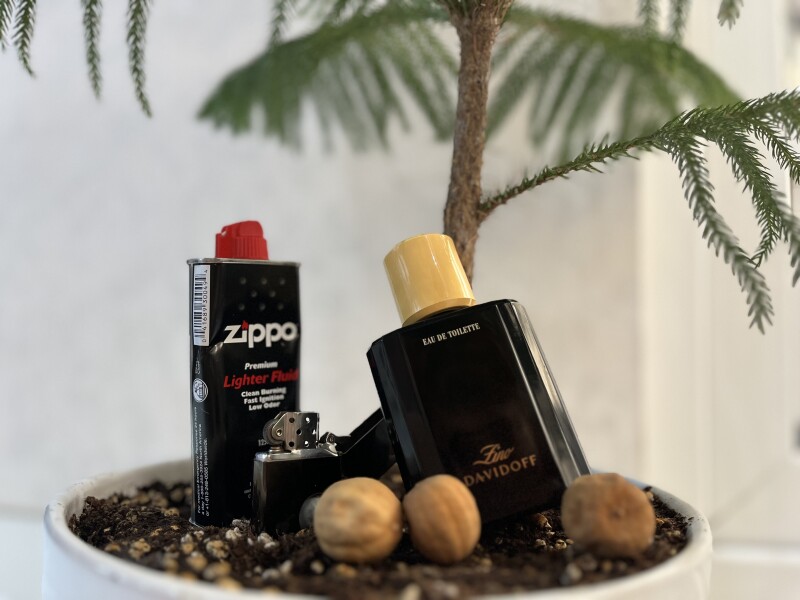 Zino