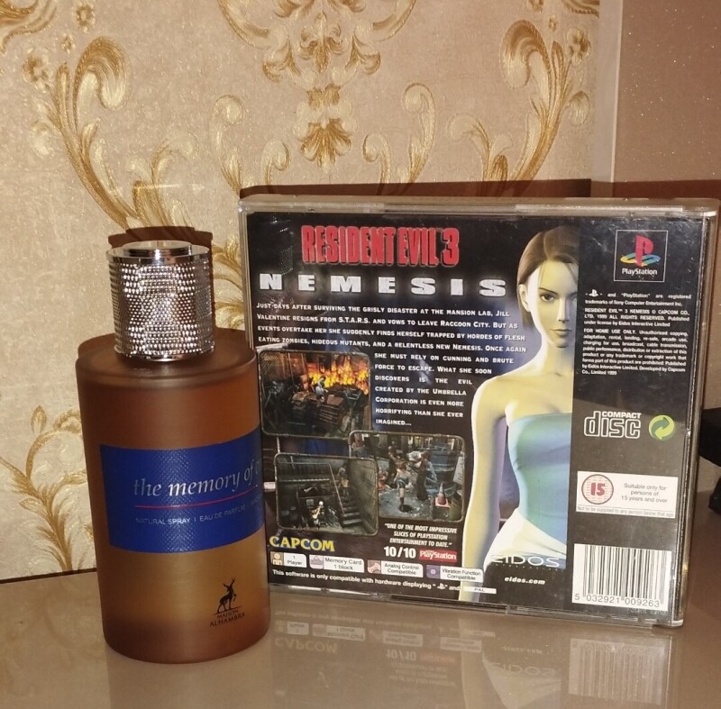 The Memory of Nemesis 