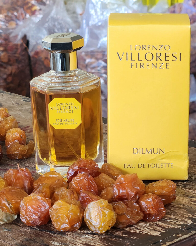 لورنزو ویلوروسی دیلمون