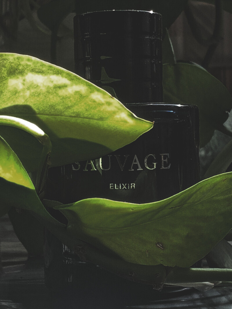 Sauvage elixir