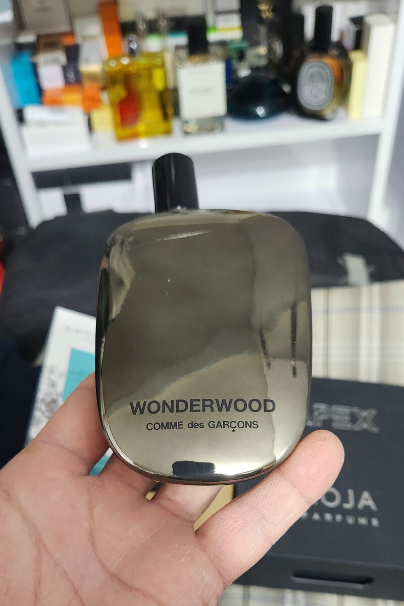 عشق ها از برند کوم د گارسون