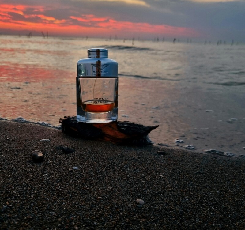 𝗕𝗘𝗡𝗧𝗟𝗘𝗬