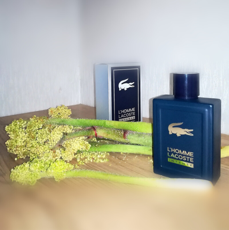Lacoste L homme intense #