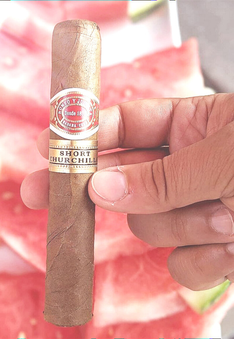 مونت بلانک اکسپلورر