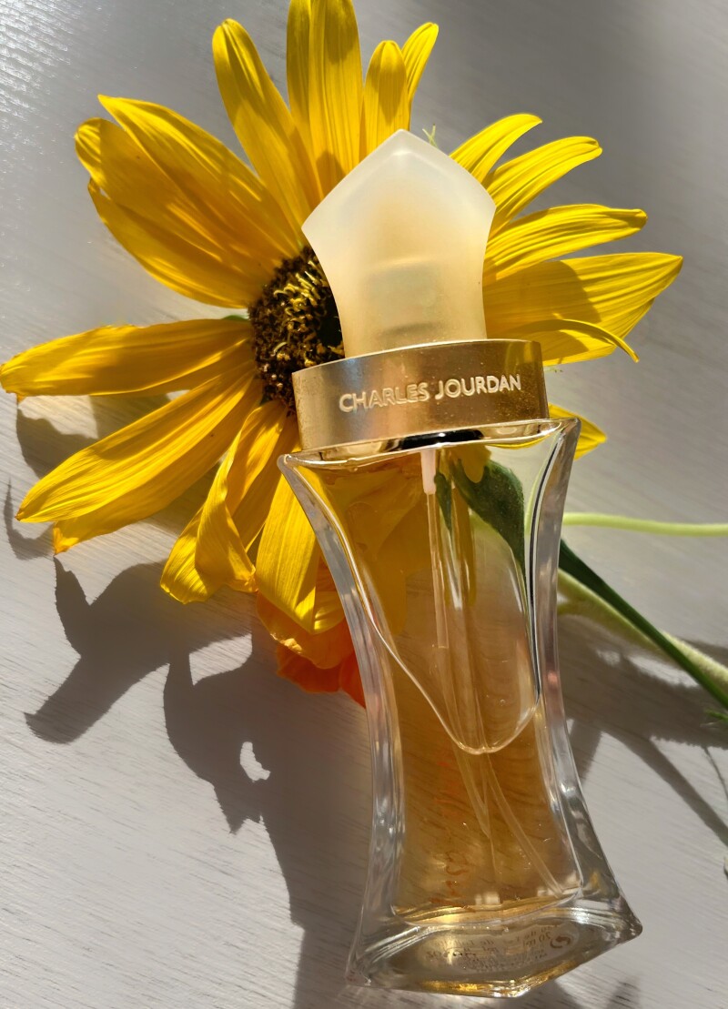 🌻🌞