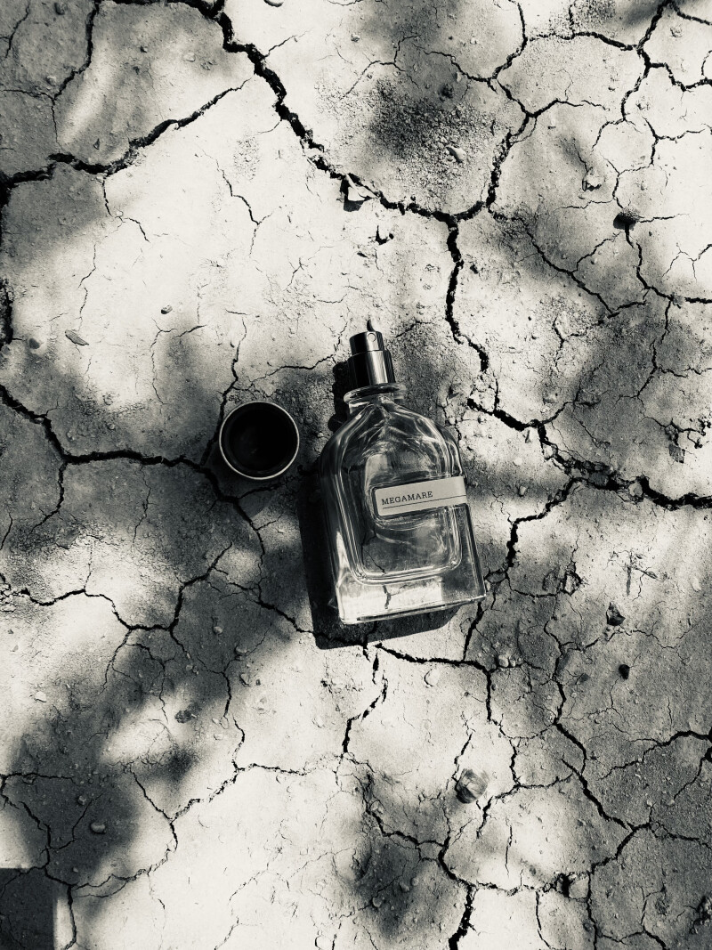 حریف روزهای گرم