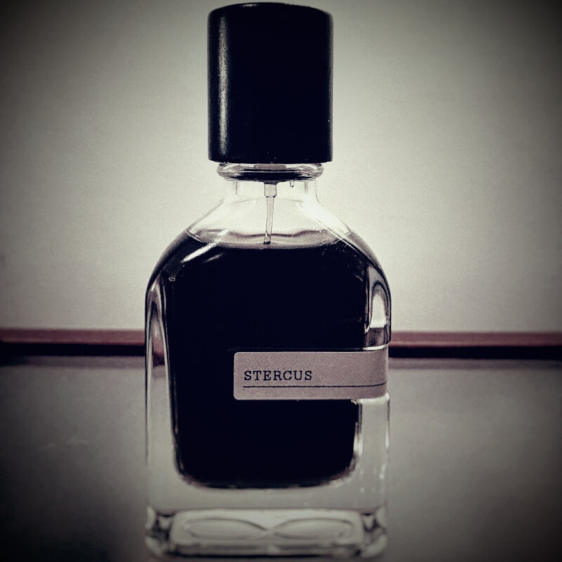 عمیق‌تر نگاه کن...🐈‍⬛🖤