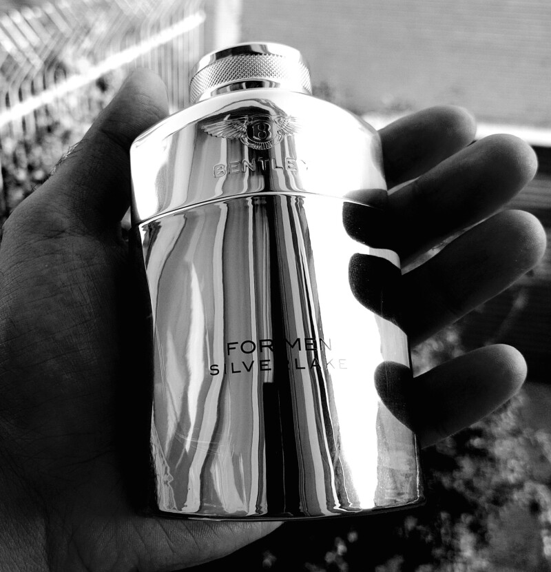 دریاچه نقره ای - BENTLEY Silver Lake