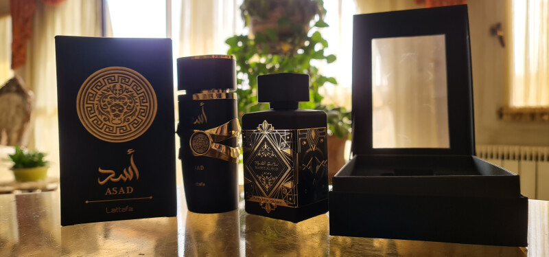 جمعی از شیوخ