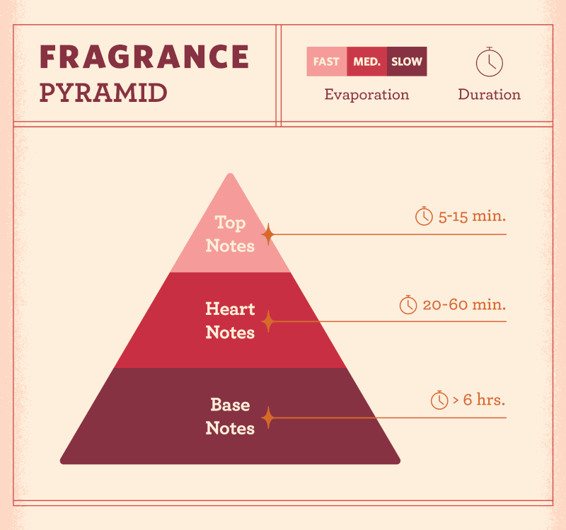 توصیف نت های عطر