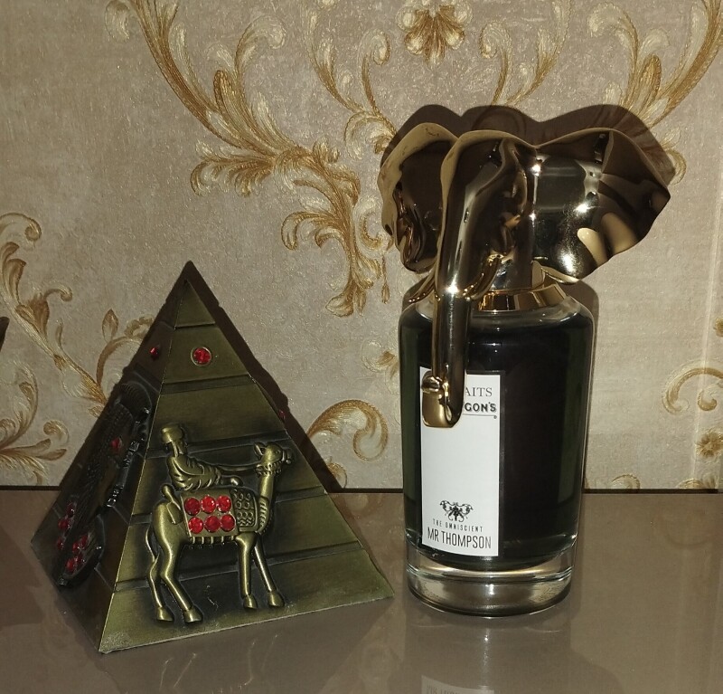 آقای تامسون