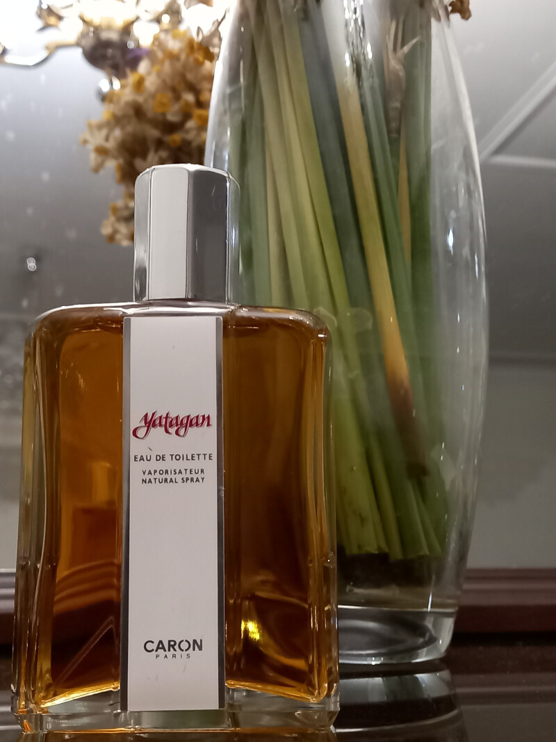 یکی از محبوب های من 