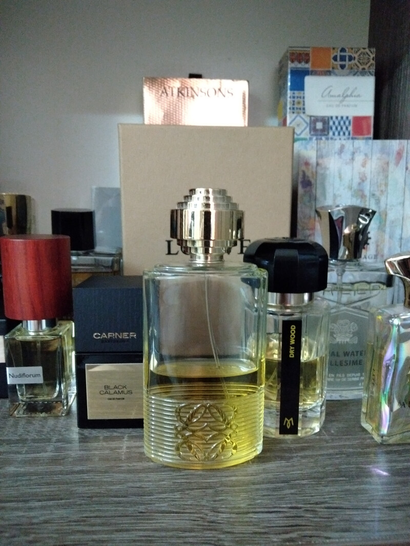 Loewe paseo del prado