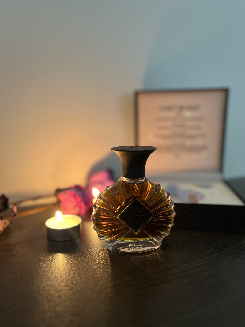 𝕮𝖎𝖛𝖊𝖙 𝖉𝖊 𝖓𝖚𝖎𝖙