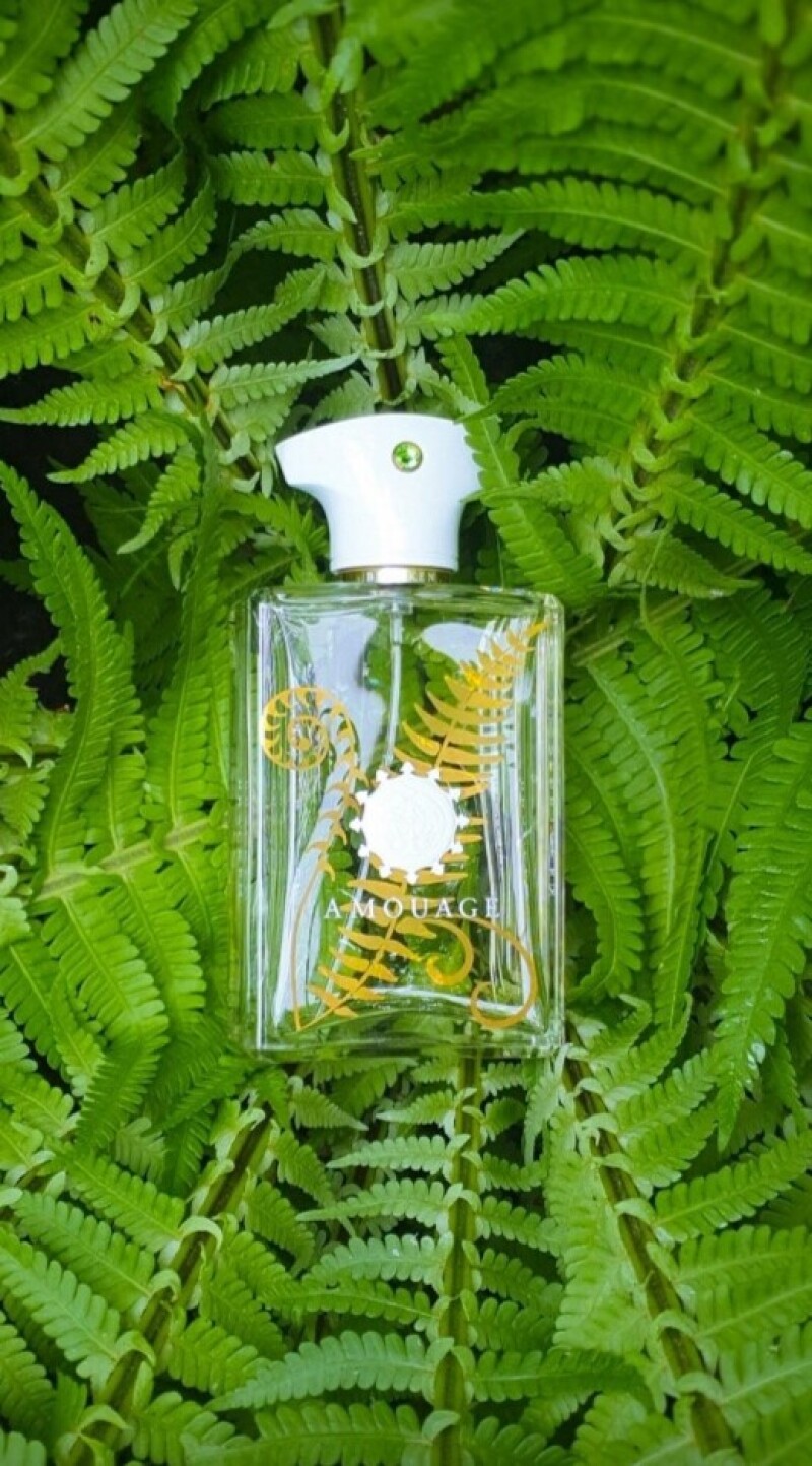 آخرین ده میل ها  