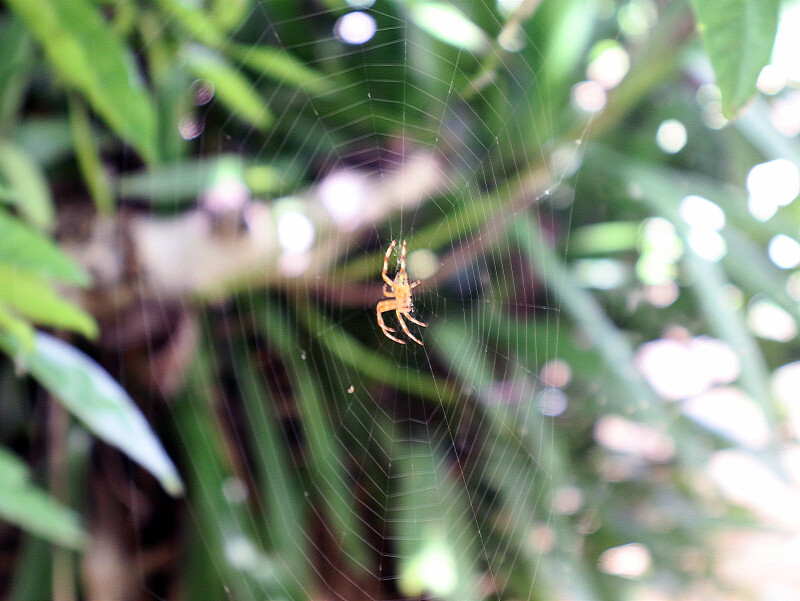 از هردری سخنی