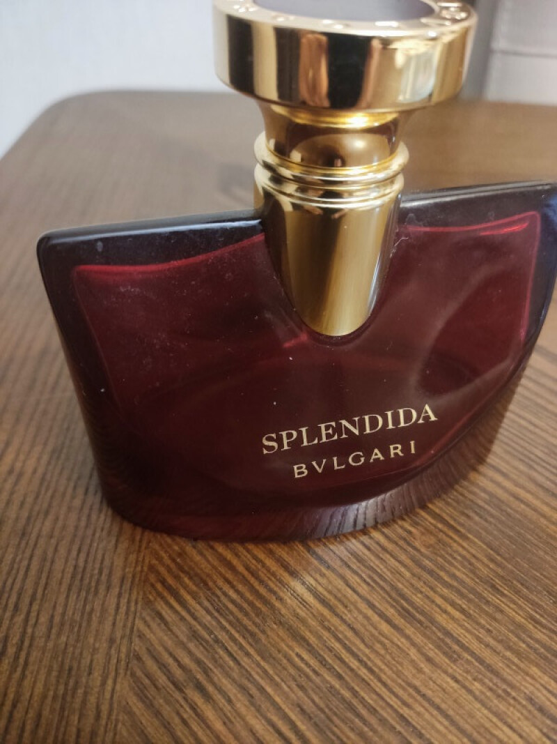 بولگاری اسپلندیا