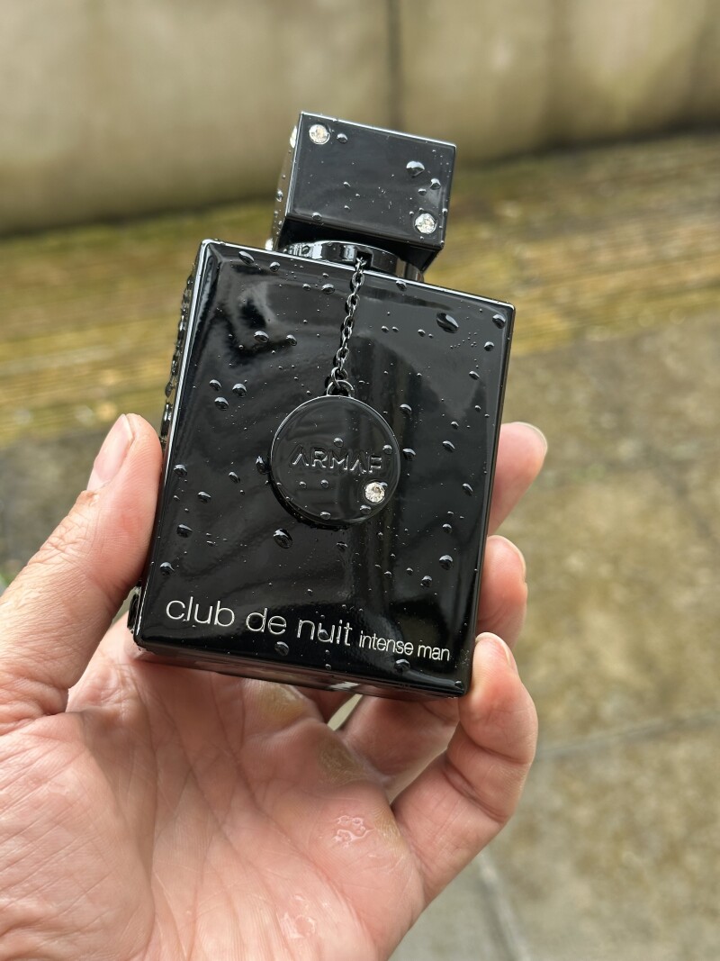 آن یکی شیر است اندر بادیه…