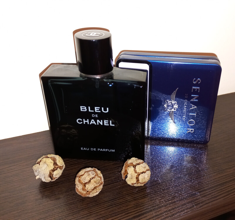 سناتور عطرهای من!