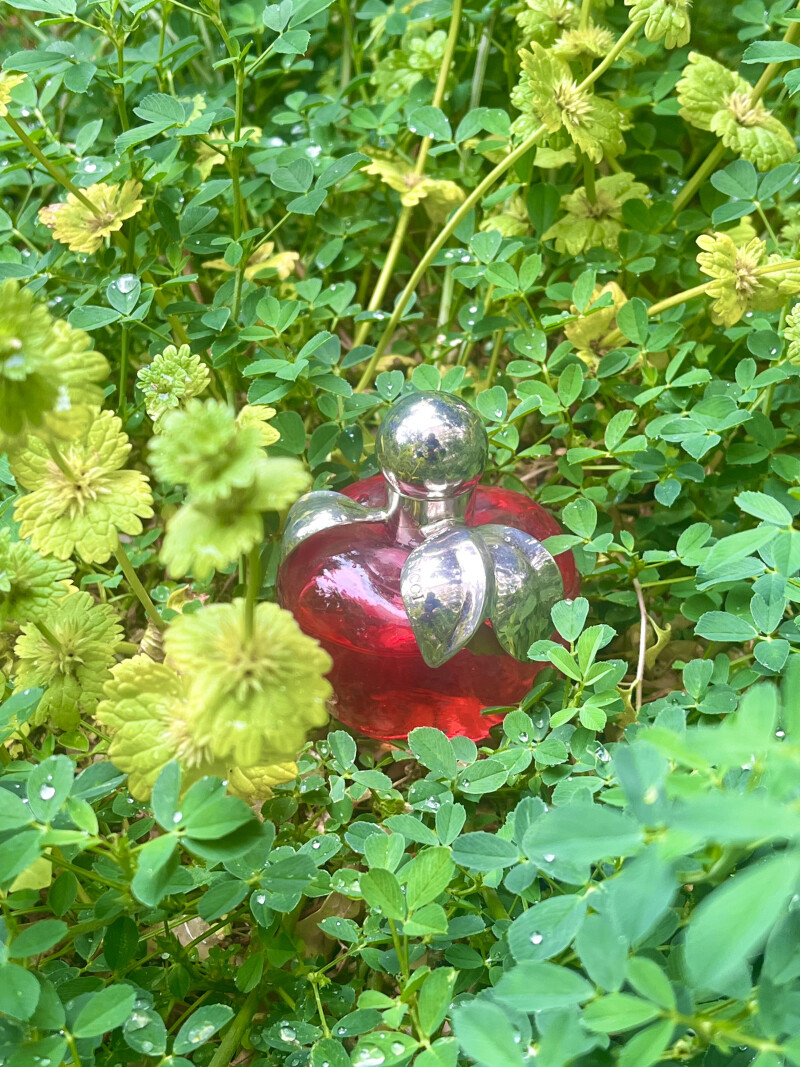 🍋🍋‍🟩🍏🌹