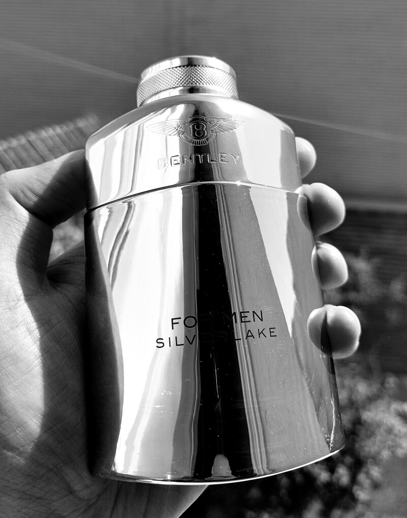 دریاچه نقره ای - BENTLEY Silver Lake