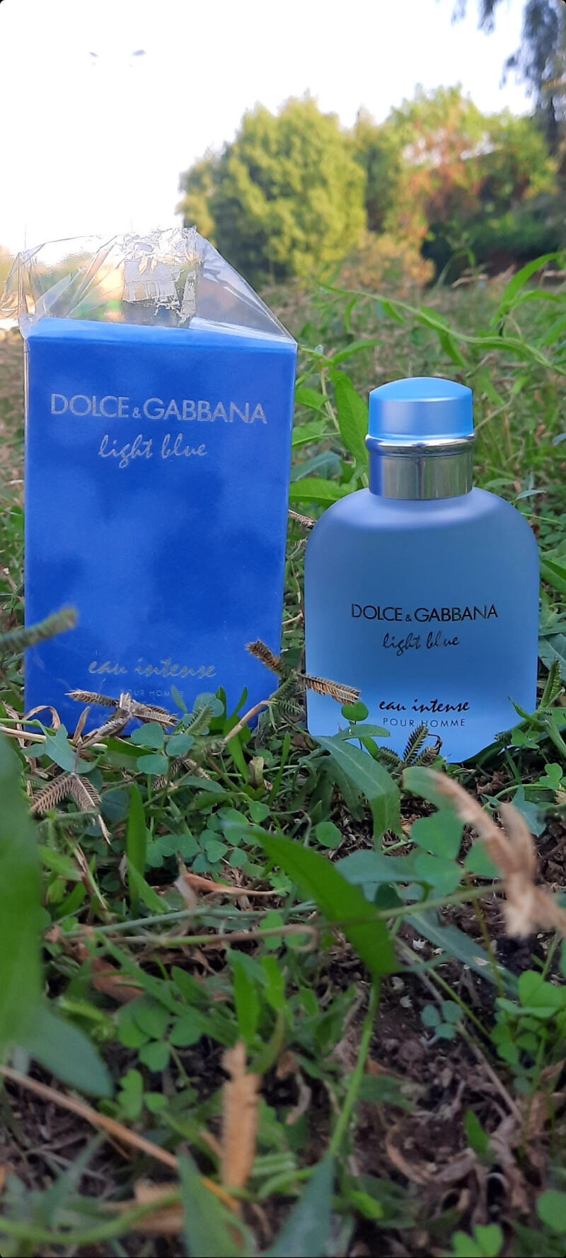 اواسط آذر ماه و عطر تابستانی؟