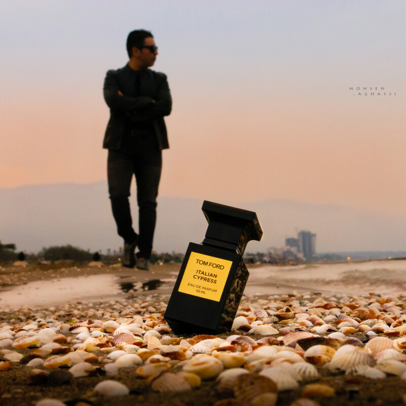 سَروِ ایتالیایی