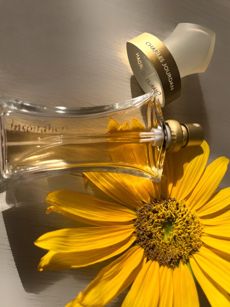 🌻🌞