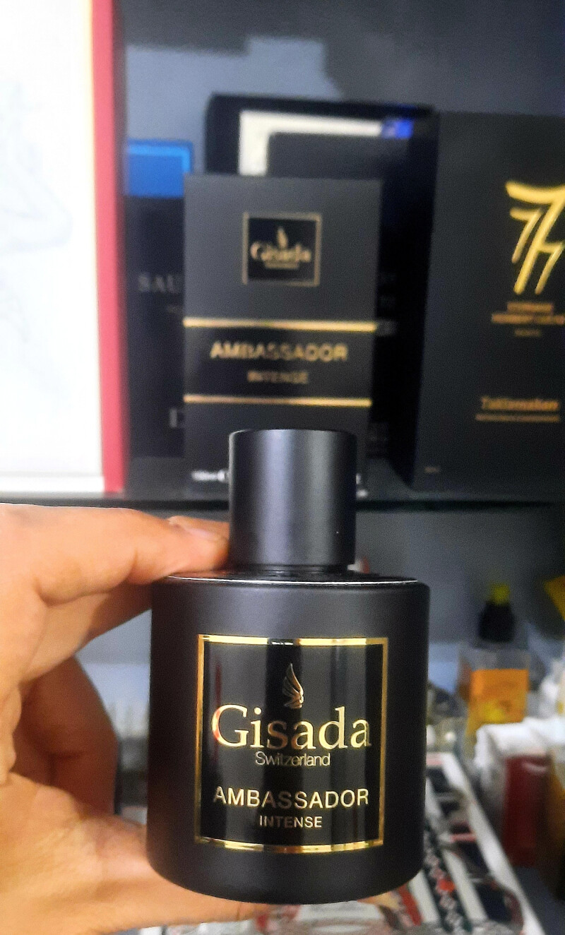 Gisada Ambassador Intense