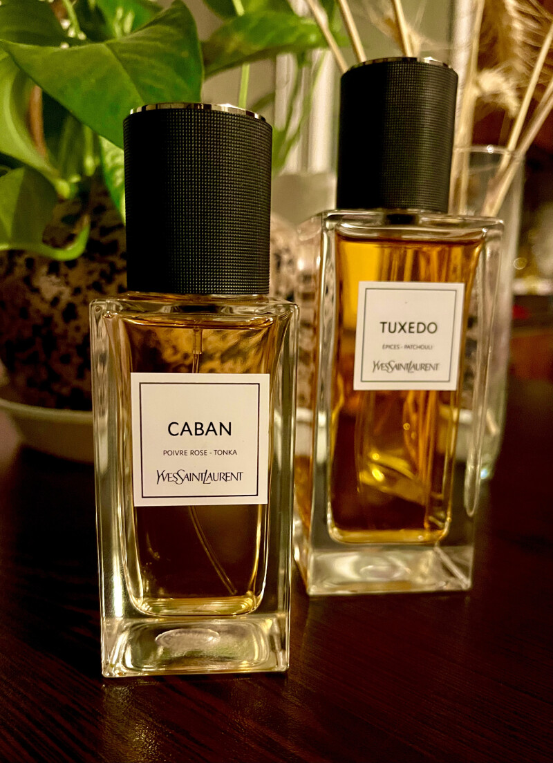 YSL : Caban & Tuxedo 