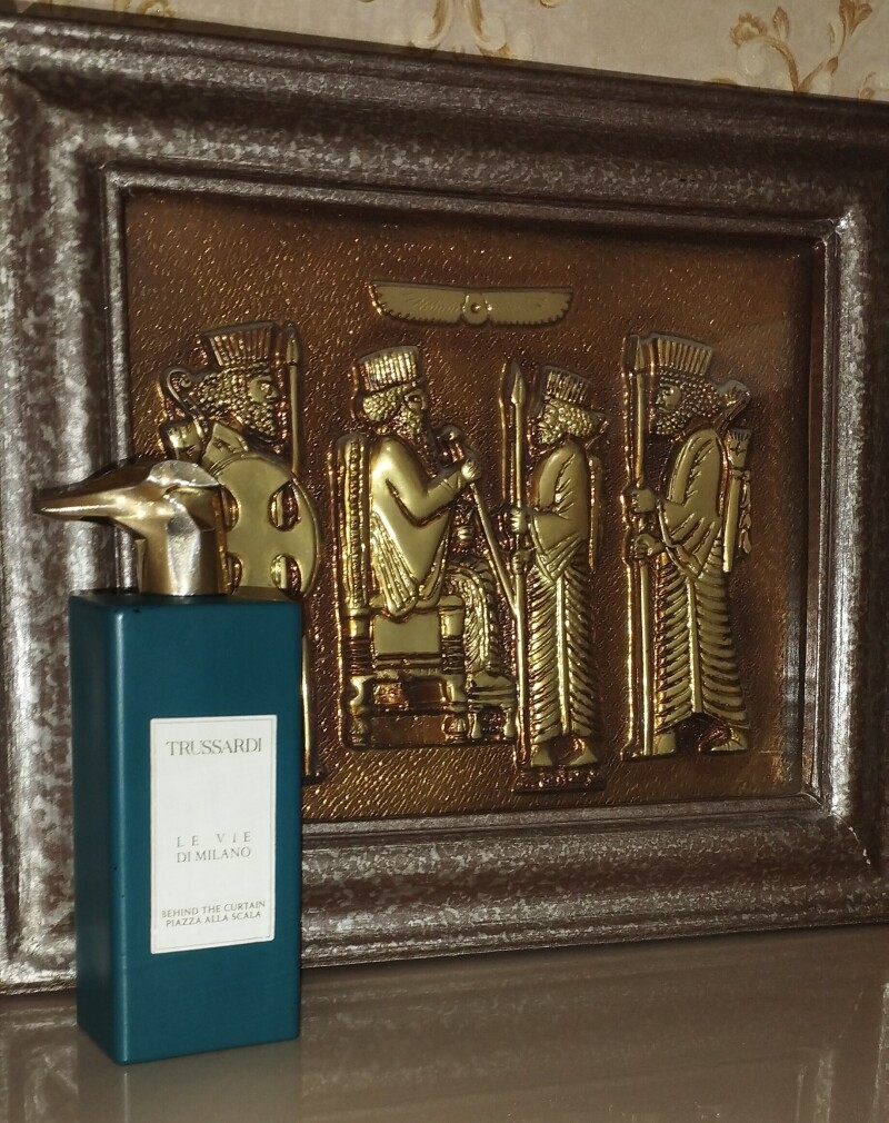 پناه پنهان...