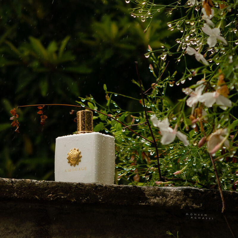 نَمِ باران، روی گلهای سپید...