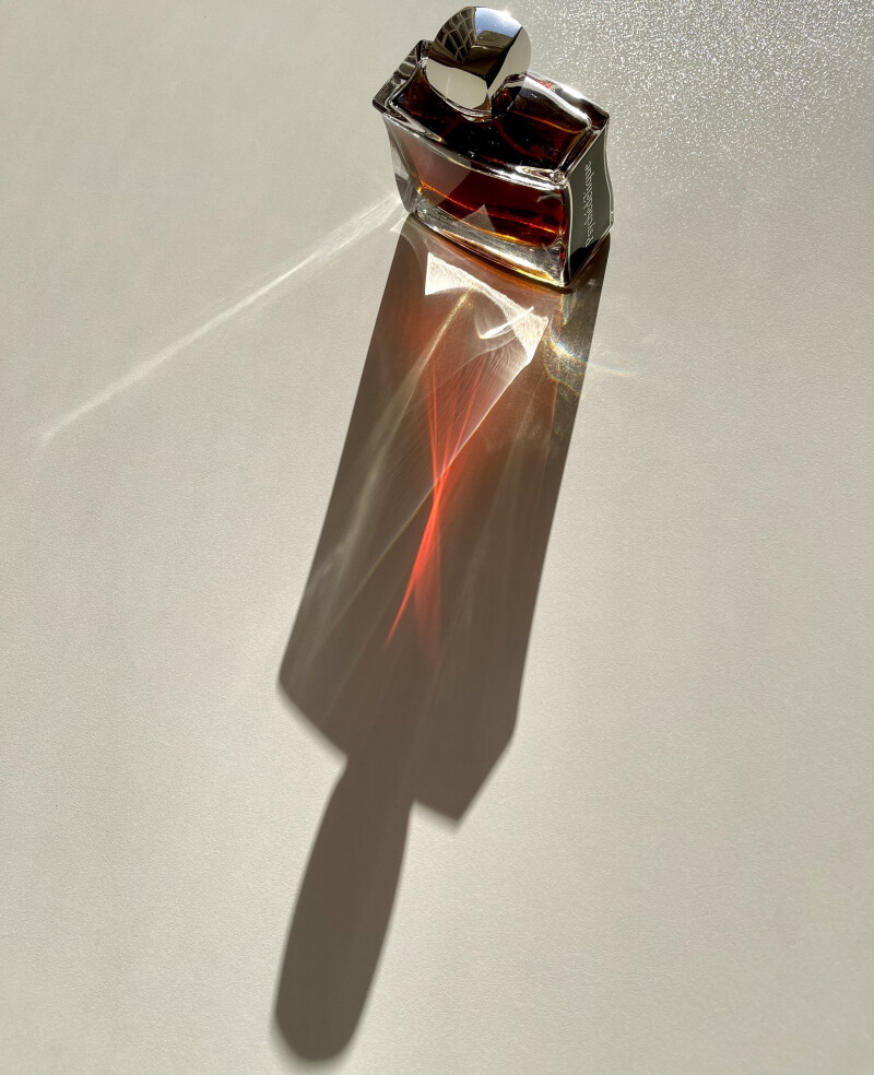 رفیق و هم سفر این روزهای من