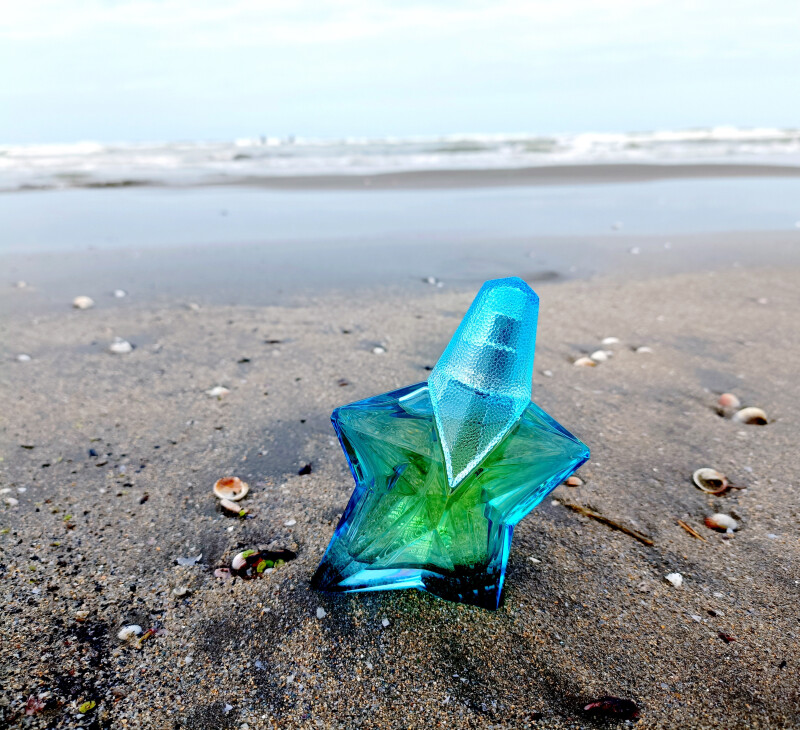 فرشته دریایی 