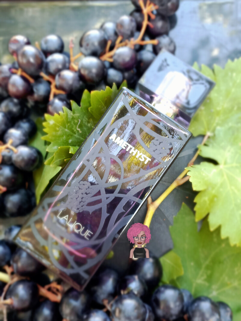 با انگورهای سیاه باغ ،دسترنج پدر جان