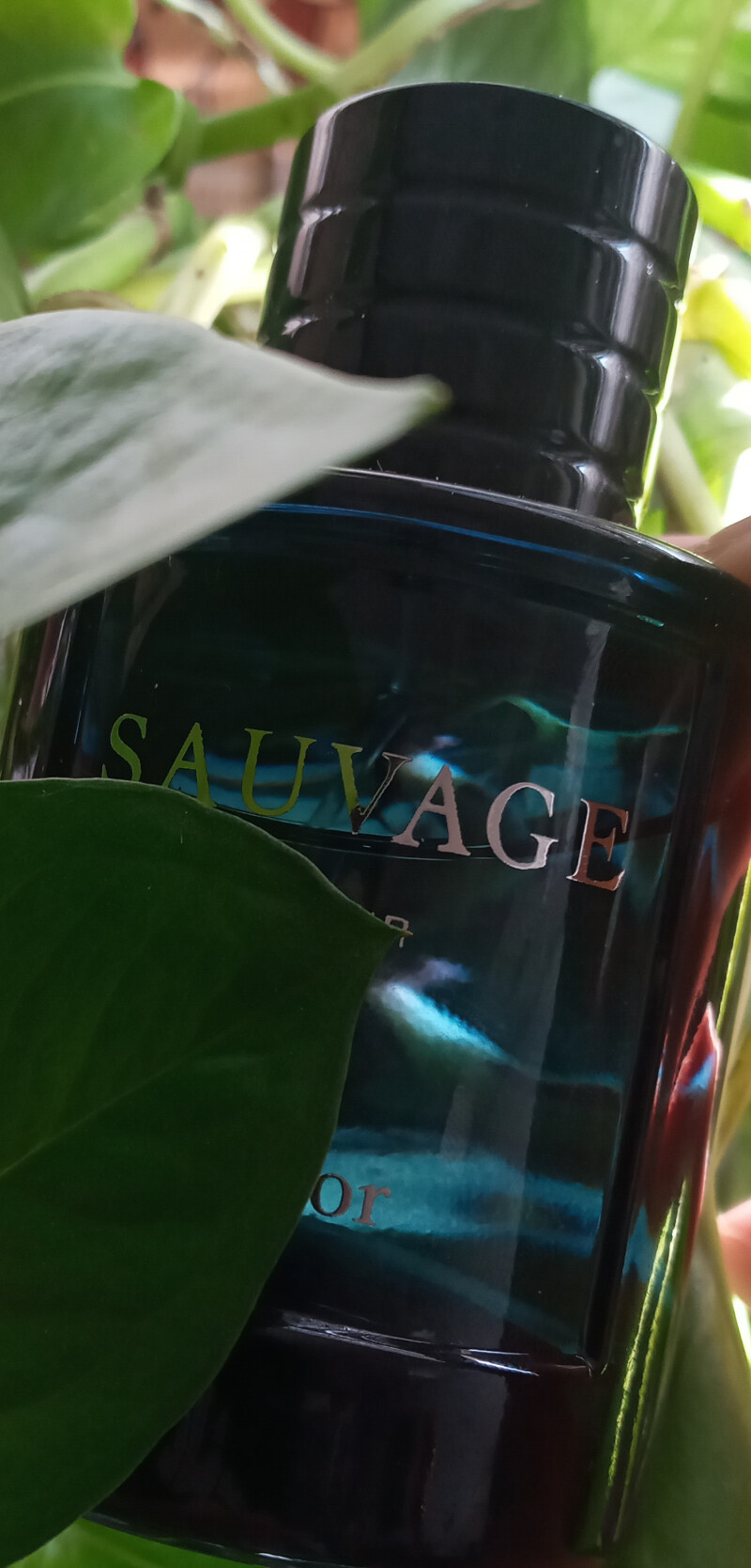 Sauvage elixir